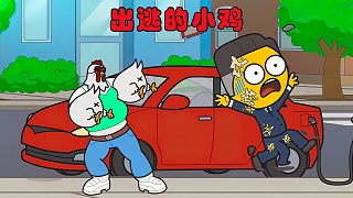 小雞千辛萬苦逃出魔爪，本以為已經(jīng)安全，可不想危險并未消失！