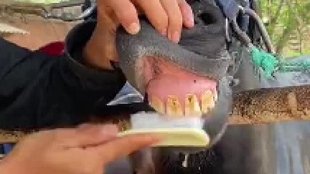 一脸的不情不愿