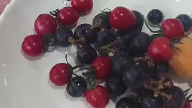 带狗吃席，必吃回本