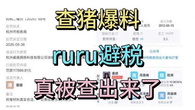 查猪爆料：ruru避税，真被查出来了。