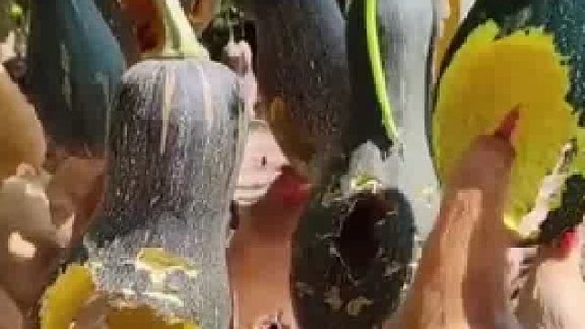 为啥要吊起来给它们吃呢？