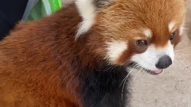 人类能不能有点边界感