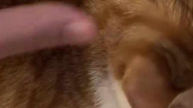 油炸大鸡腿抽搐