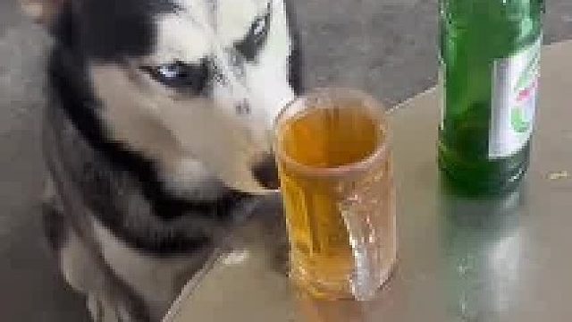 自己几斤几两还不知道吗？