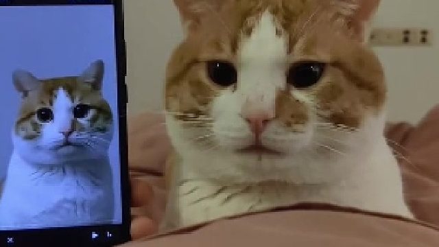 哟呵，还有偶像包袱了。