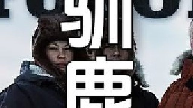 这把点口径步枪因其杀伤力大且留存伤口小最适合狩猎使用