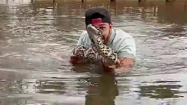 大家快看看这是什么蛇 有没有懂行的？