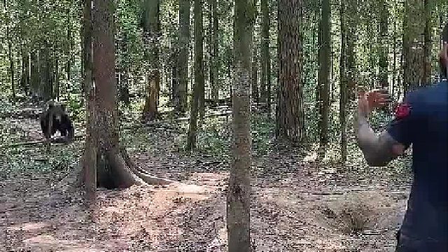 熊：我只用了一成功力！