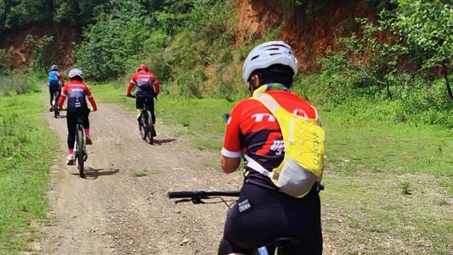 《后庭花·校长群反骑长虫山壮歌行》 桃园氧润千林翠，道危风沸。 空山兰幽香暗递，苗歌情醉。 麦坡羊炙