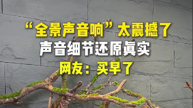 解析力 低频下潜深度超越同体积竞品 30%