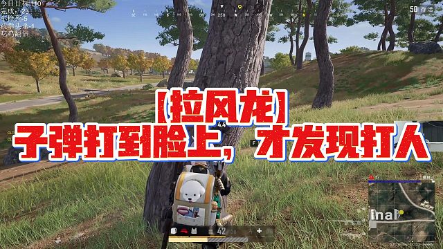 【拉风龙】子弹打到脸上，才发现打人