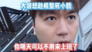 大智想趁機整死小酷，你明天可以不用來上班了