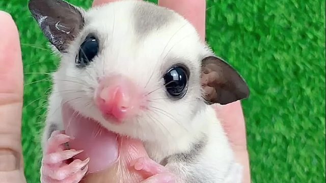 眼睛里有光的小朋友