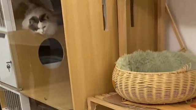 麻麻，有你是我的福气