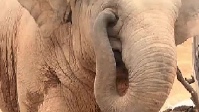 谁说没有手就不能揉眼睛了！