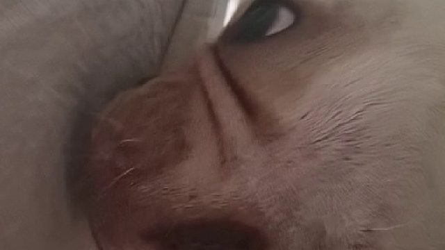 检查一下出门干什么去了