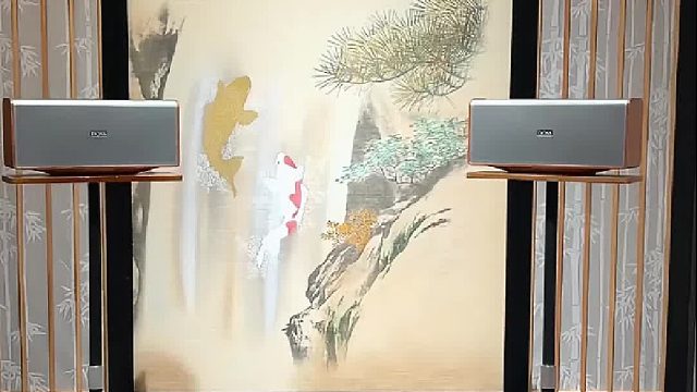 解锁声音的三维生命，选择一对DOSS全景声音箱