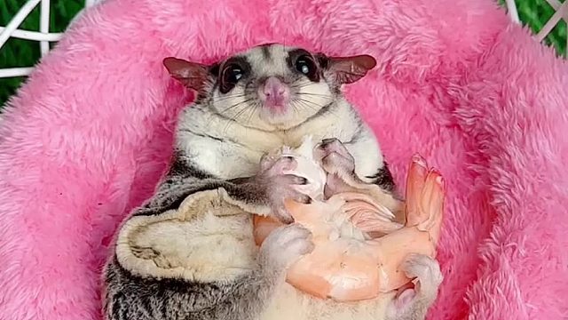 坐着吃已经不满足了，要躺着吃了