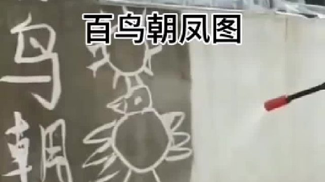 别管好不好但肯定有一百只了 