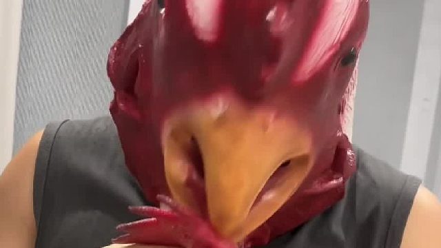 大公鸡情绪是最稳定的，哈哈