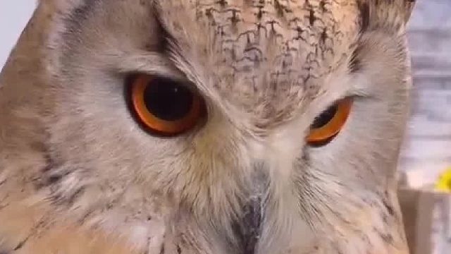 事不过三！别以为我看不到～