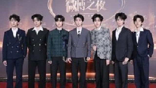 今天红毯上大分的时团，宛如各个家族的继承者们