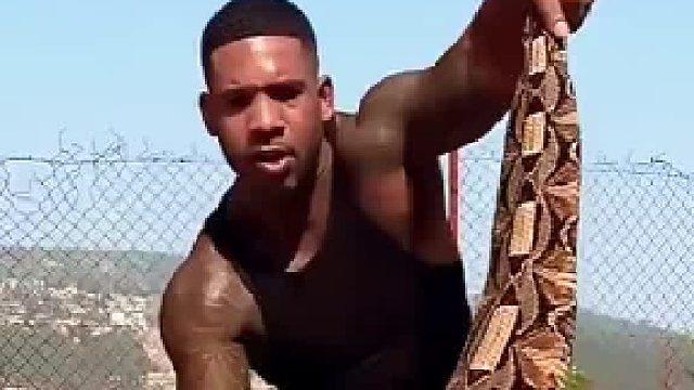 五步蛇还是蟒蛇？看这一招轻松辨认！