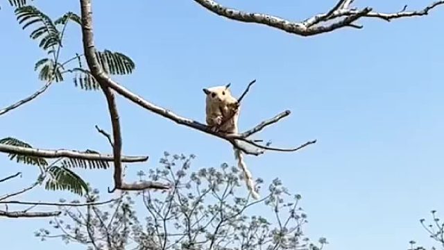 有自己的想法了