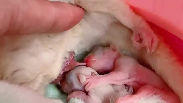 艾玛，这吃得～