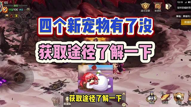 DNF手游：四个新宠物有了没，获取途径了解一下