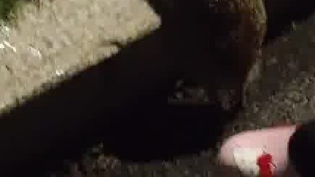 只是想帮小刺猬上去，没有虐待倾向，哈哈哈哈