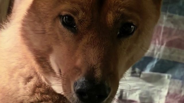 迟一点起床就挨骂，但是这样感觉真幸福