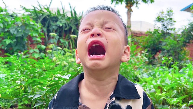 媳妇二胎生了个儿子，3岁宝宝突然大哭，原因让人意想不到