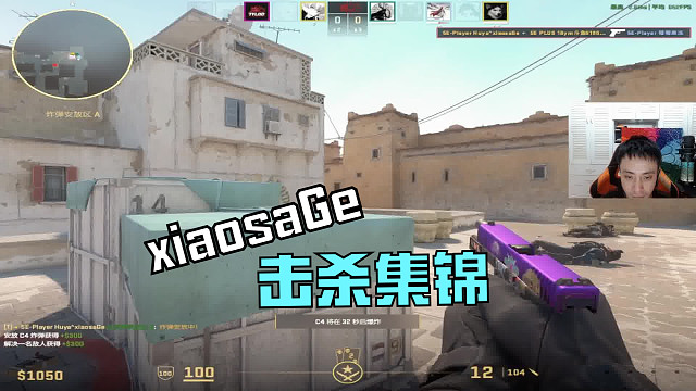 xiaosage击杀秀 恭喜小蜜蜂夺得奥斯汀MAJOR冠军