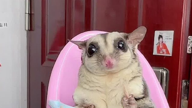 这样坐着会比较好吃点吗？