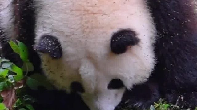 花花 -本来上班就烦，你们还在说