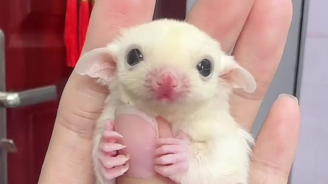 一脸委屈，不知道的还以为我干什么你了