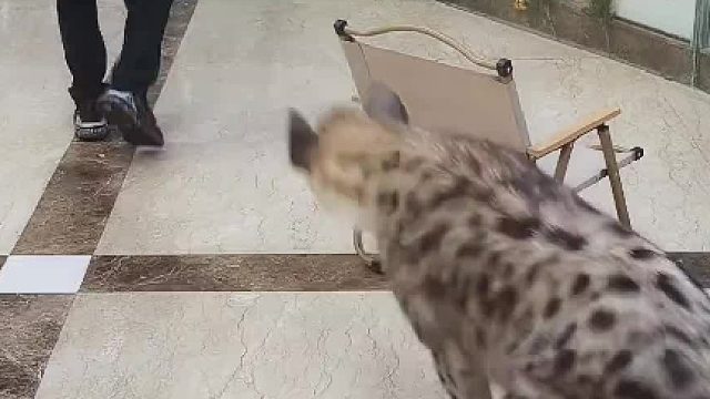 超级兴奋到模糊