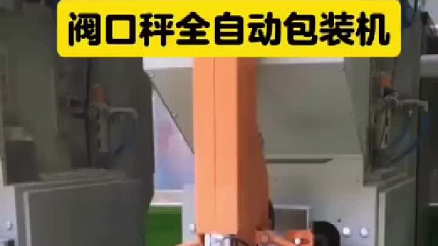 阀口秤全自动包装机