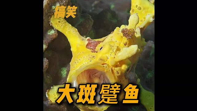你见过，自带鱼竿的资深钓鱼佬吗？