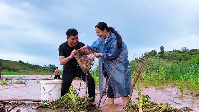 一场大雨过后，小两口下水捞鱼，结果让人意外！