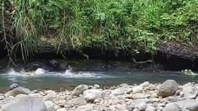 我去，这是什么品种的辣条呀