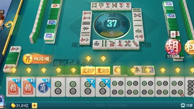 尊爵-黑一色全双七对！