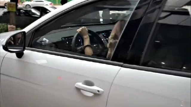 秦不仅统一了六国，还统一了网约车