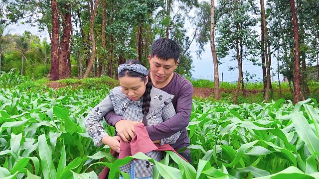 夫妻玉米地拔草，发生尴尬事，媳妇瞬间脸红