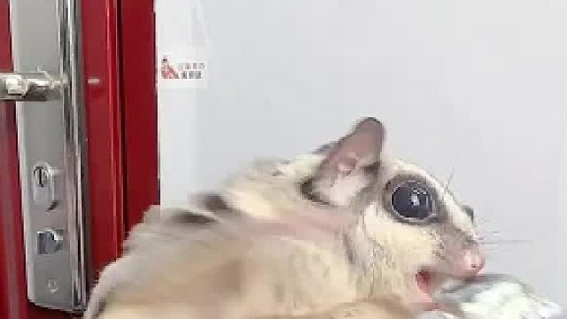 吃得那叫一个开心