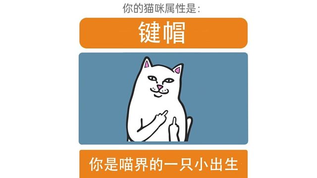 测试你是什么猫咪