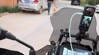 高手過招 點到為止