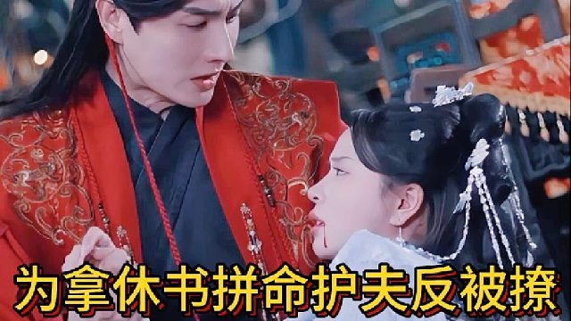 为拿休书拼命护夫反被撩《休不掉的太子》4