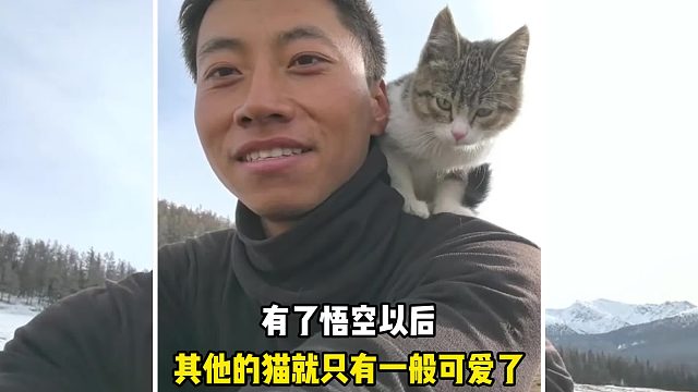 他不仅救助了只流浪猫，还找到了一起前行的挚友